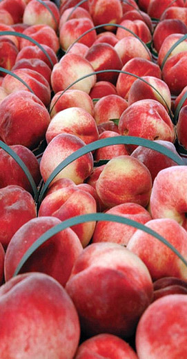 peach