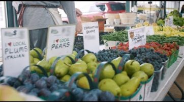 When you shop your local Ontario farmers' market, you get the opportunity to purchase the freshest selection of seasonal fruits and vegetables. Most farm fresh products sold at market are picked the day or night before and travel less than 50 km to market versus grocery store goods which travel... An Ontario Farmers' Market Moment - Shop for the freshness