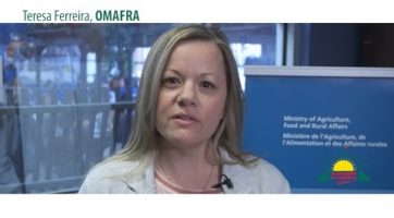 Ontario Regulation 110/11 sets out the requirements for retail display sign, labeling and advertising for produce. This video outlines the requirements and demonstrates what they look like. Regulatory Requirements for Produce Sold in Ontario